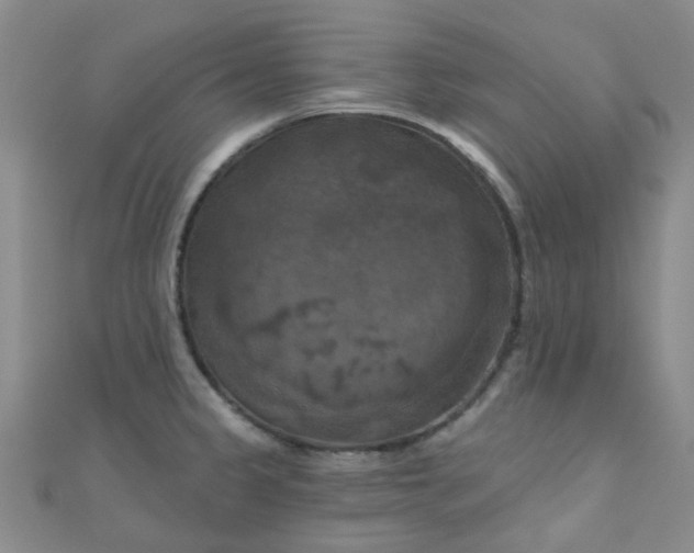 X0000111001333200907022129