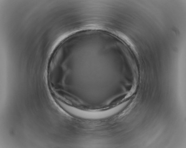 X0000111001334200907022129