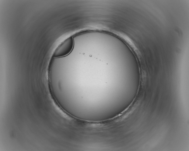 X0000111001335200907022129