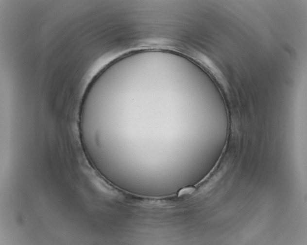 X0000111001336200907022129