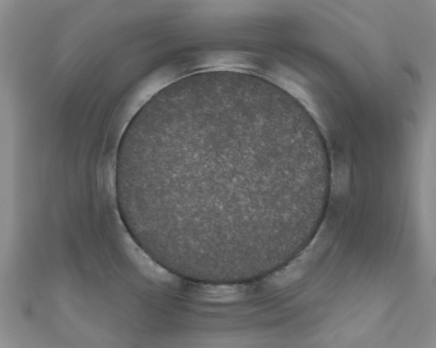 X0000111001338200907022129