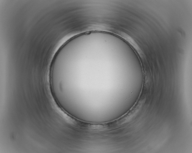 X0000111001339200907022129