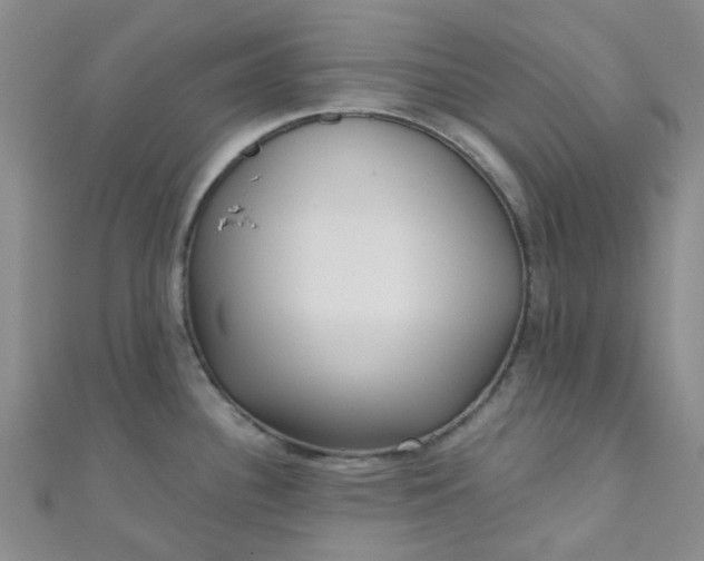 X0000111001340200907022129