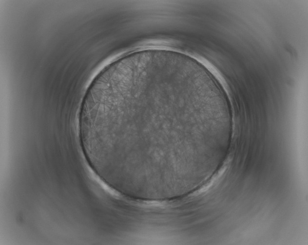 X0000111001341200907022129