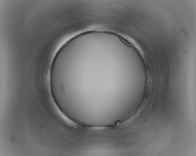 X0000111001343200907022129