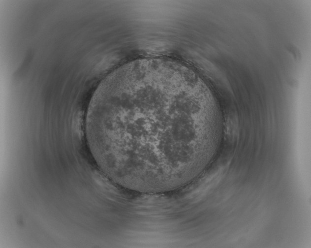 X0000111001346200907022128