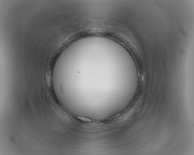 X0000111001348200907022128