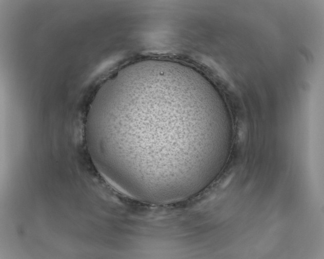 X0000111001350200907022128