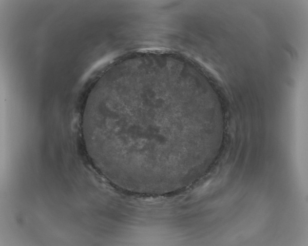 X0000111001351200907022128