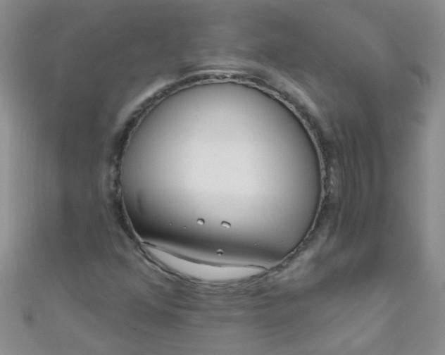 X0000111001352200907022128