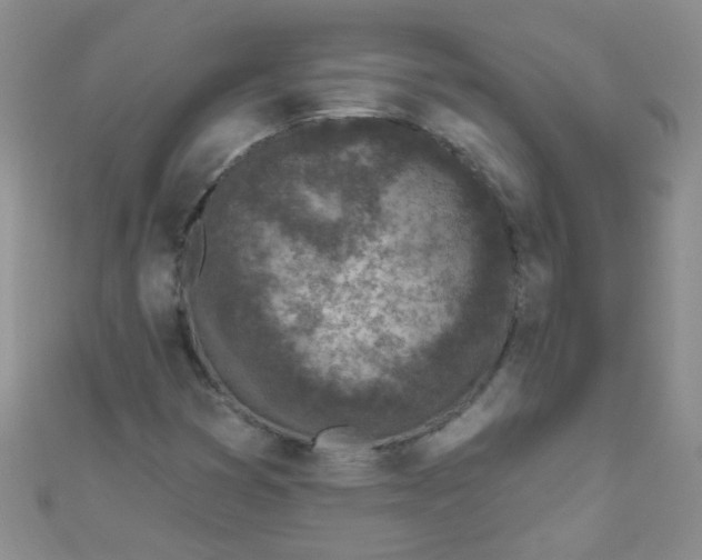 X0000111001353200907022128