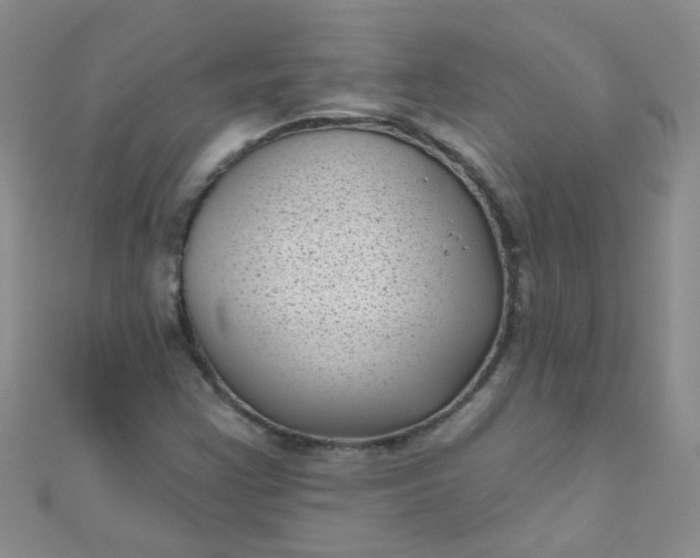 X0000111001355200907022128