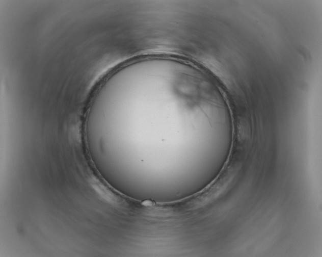 X0000111001356200907022128