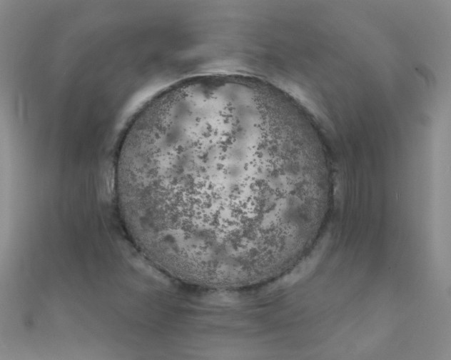 X0000111001358200907022128