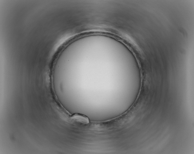 X0000111001360200907022128