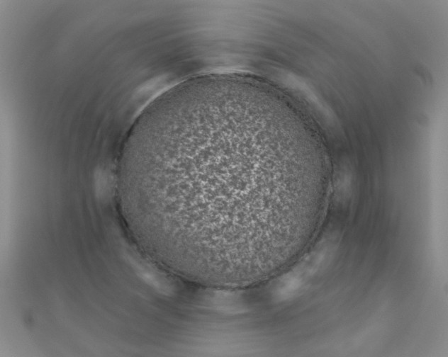 X0000111001361200907022128