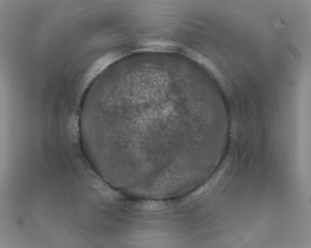 X0000111001362200907022128