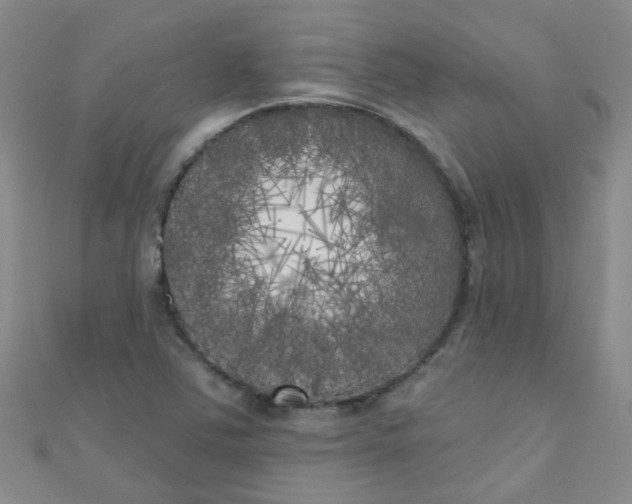 X0000111001363200907022128