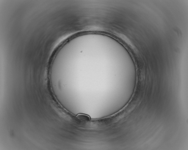 X0000111001364200907022128