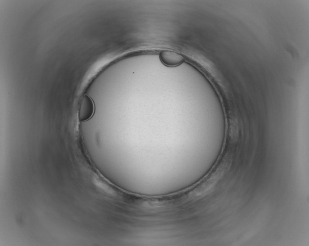 X0000111001366200907022128