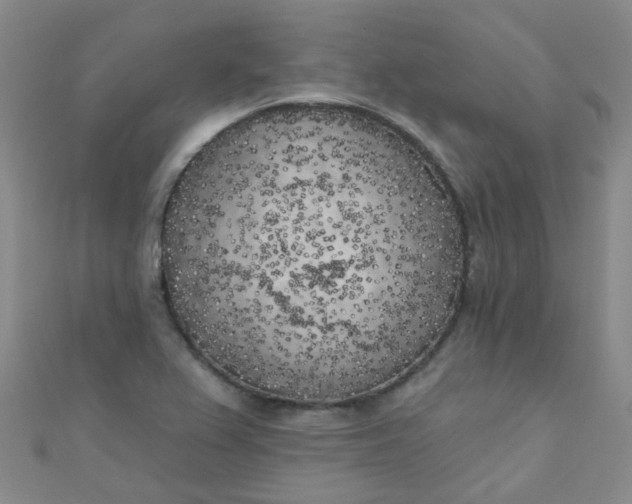 X0000111001367200907022128