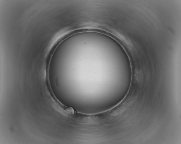 X0000111001368200907022128