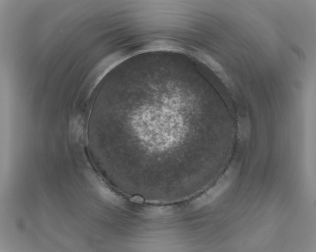 X0000111001369200907022128