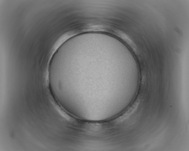 X0000111001370200907022128