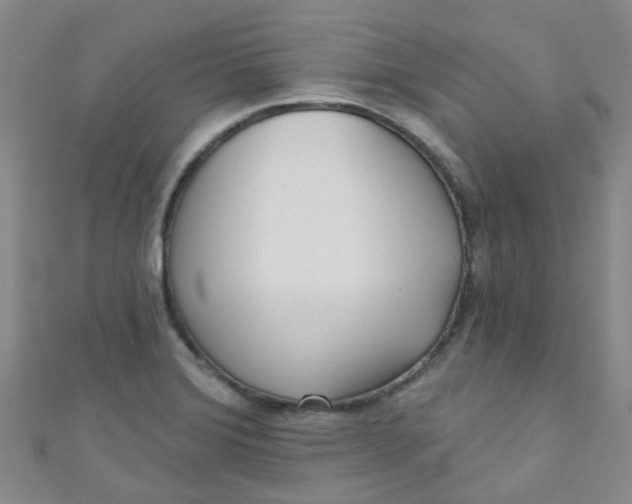 X0000111001372200907022128