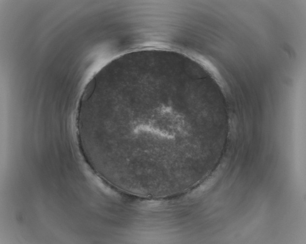 X0000111001373200907022128