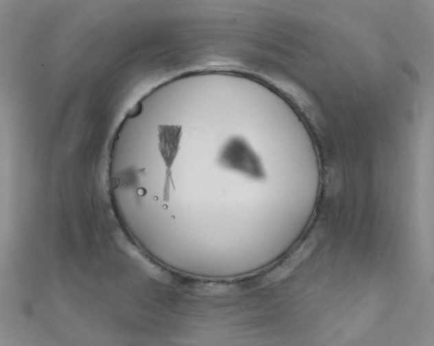 X0000111001374200907022128