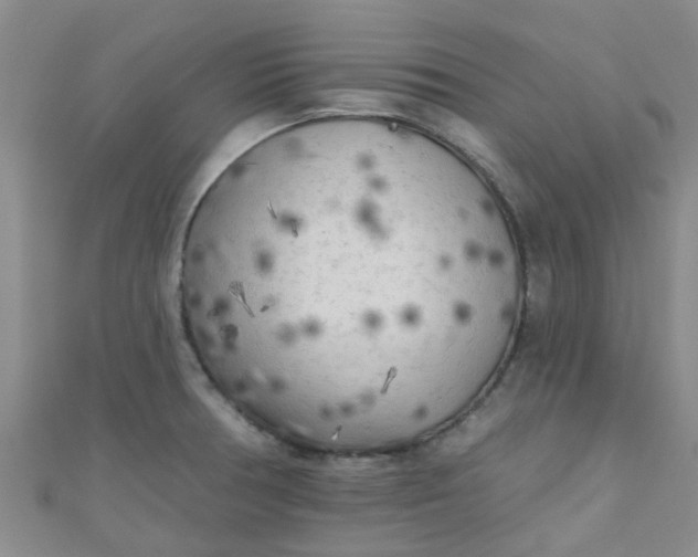 X0000111001378200907022128