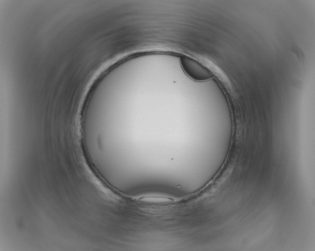 X0000111001380200907022128