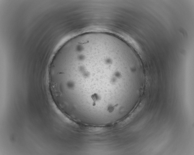 X0000111001382200907022128