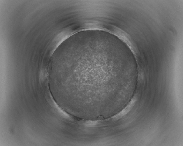 X0000111001385200907022128