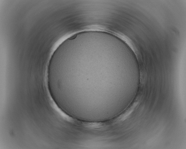 X0000111001387200907022128