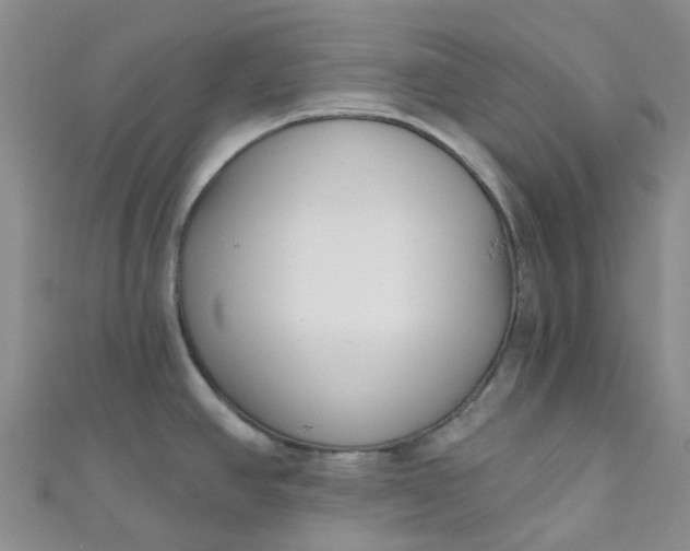 X0000111001390200907022128