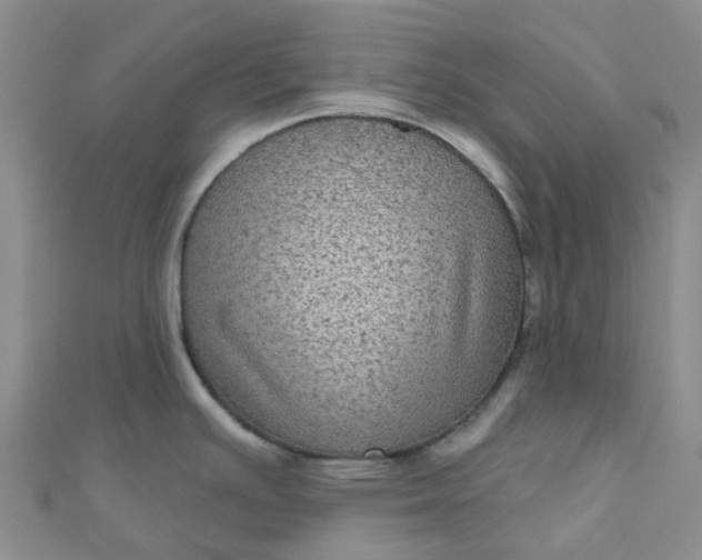 X0000111001391200907022128