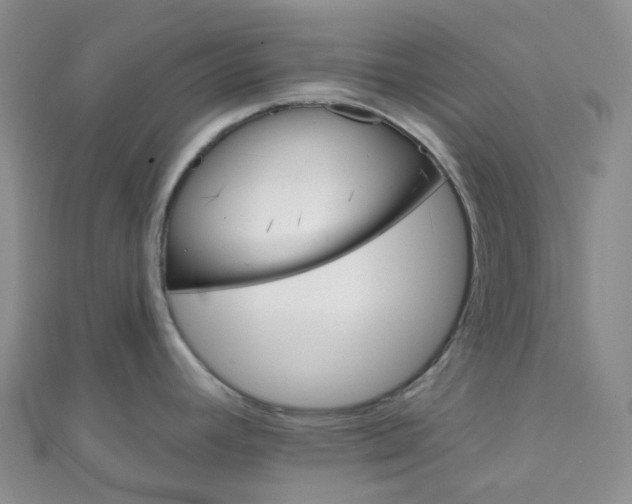 X0000111001392200907022128