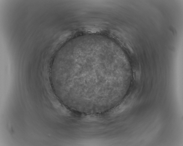 X0000111001393200907022127