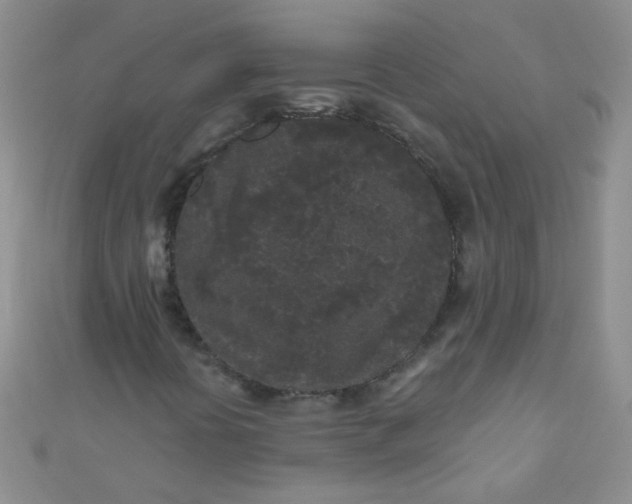 X0000111001394200907022127