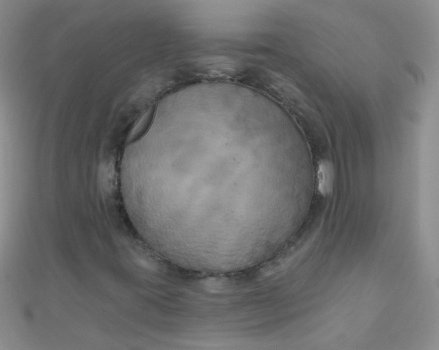 X0000111001395200907022127