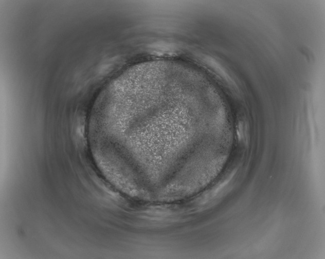 X0000111001396200907022127