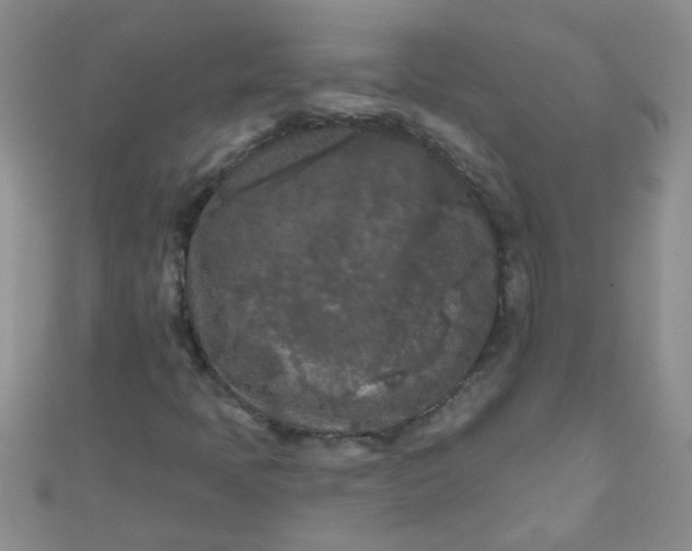 X0000111001397200907022127