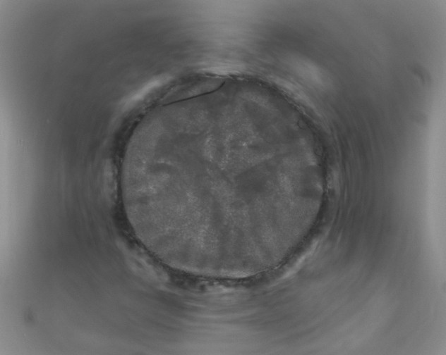 X0000111001398200907022127