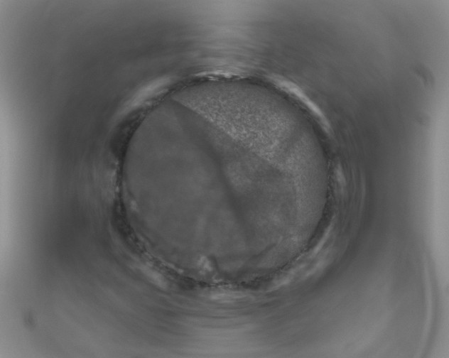 X0000111001399200907022127