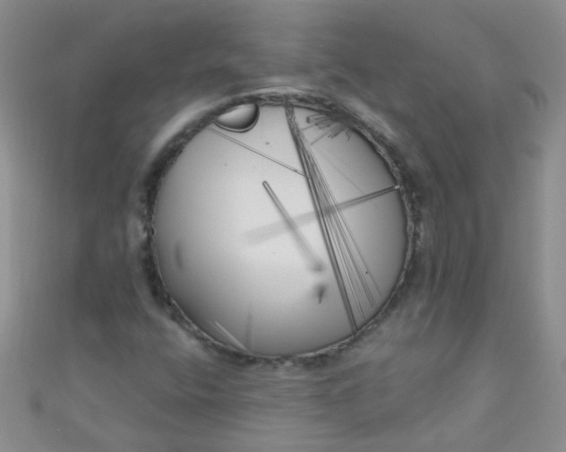 X0000111001400200907022127