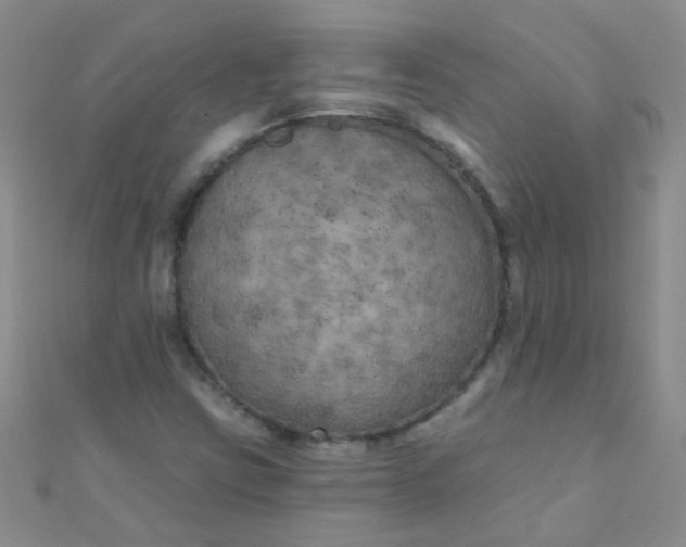 X0000111001403200907022127