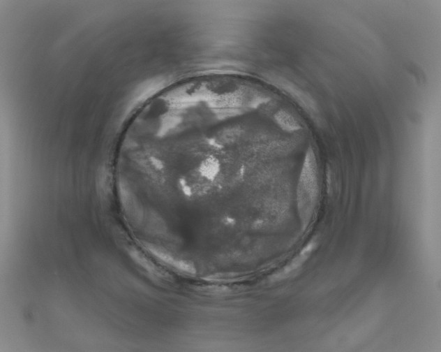 X0000111001405200907022127