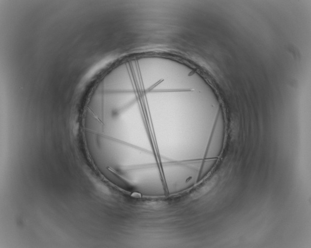 X0000111001406200907022127